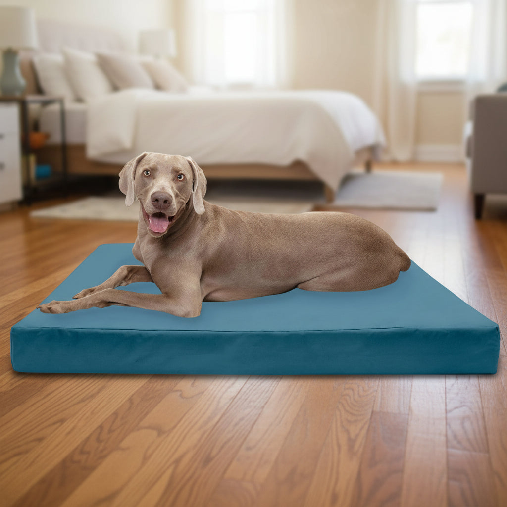 Dog lying on a blue FurHaven pet product with a cardboard box in the background.