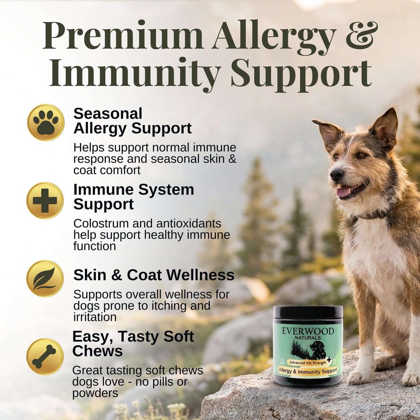 Royal Shield Allergy & Immunity Chews | Advanced Vet Strength for Senior Dogs