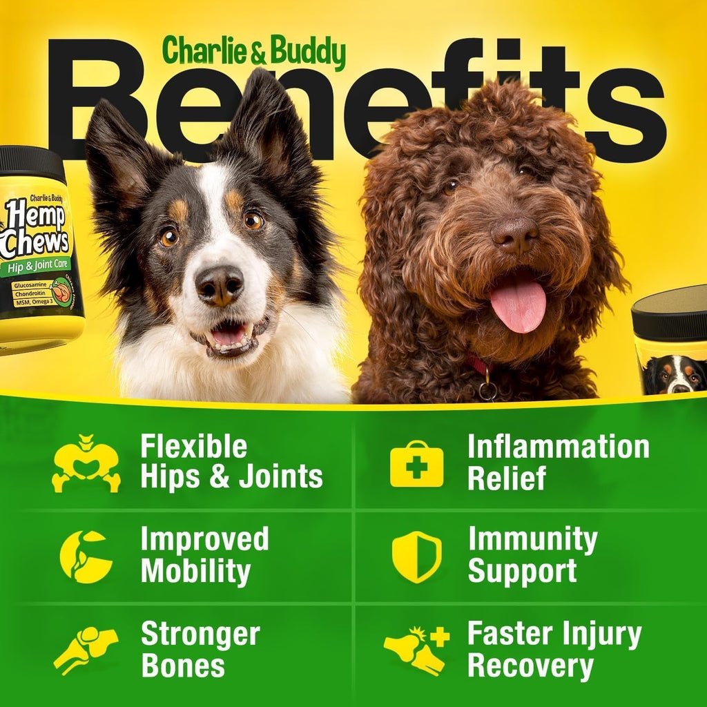Royal Joint Hemp & Omega Chews | Glucosamine Chondroitin MSM 120ct for Senior Dogs