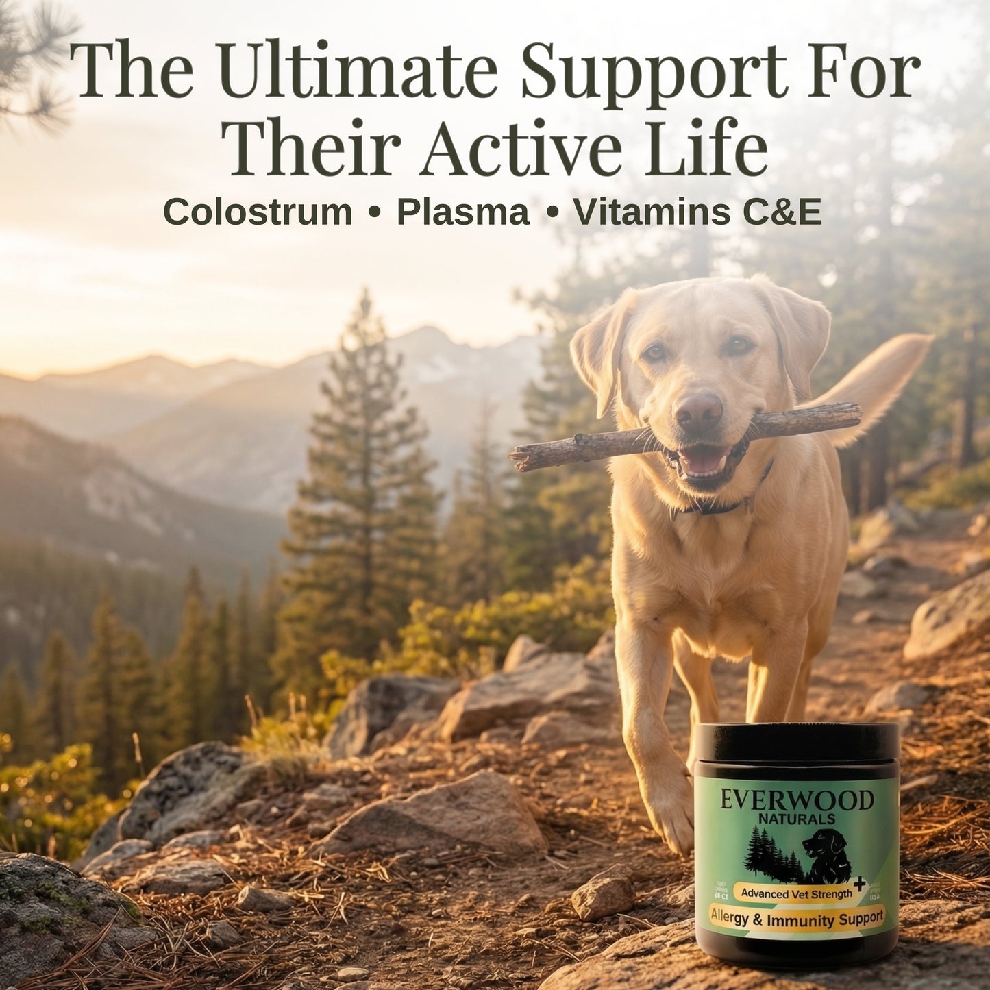 Royal Shield Allergy & Immunity Chews | Advanced Vet Strength for Senior Dogs