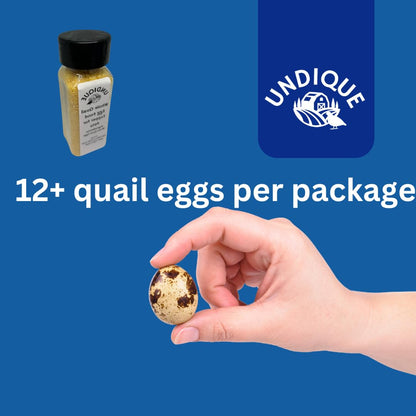 Royal Feast Food Topper | Quail Egg Boost for Senior Dog Meals