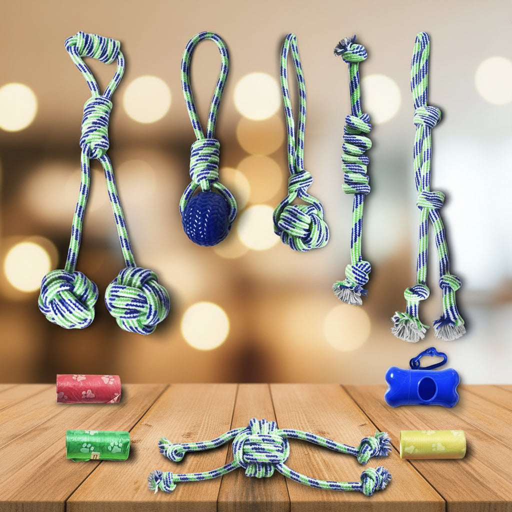 Dog toys with a dog sitting among them on a white background