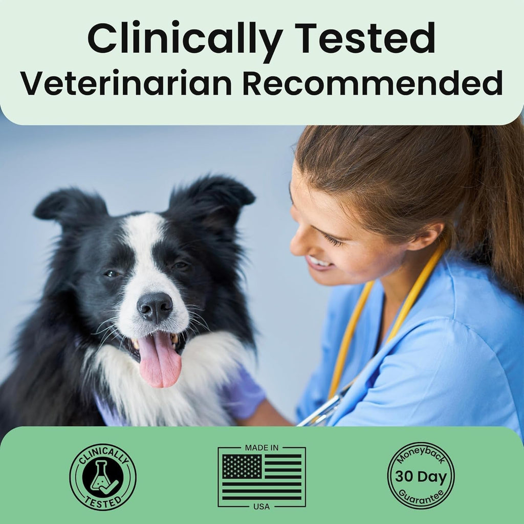 Royal Joint Powder | Glucosamine Chondroitin MSM & Collagen Joint Support for Senior Dogs