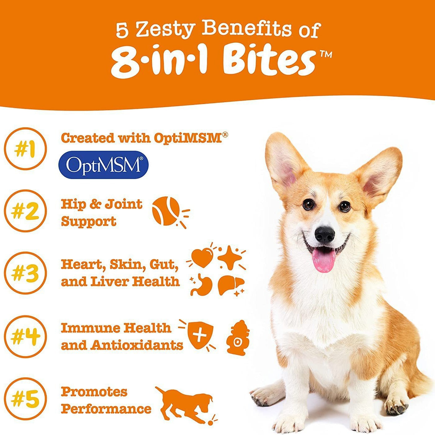 Royal Daily 8-in-1 Multivitamin | Multi-Functional Nutritional Supplement for Senior Dogs