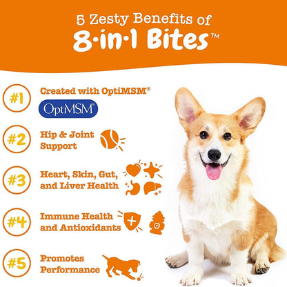 Royal Daily 8-in-1 Multivitamin | Multi-Functional Nutritional Supplement for Senior Dogs