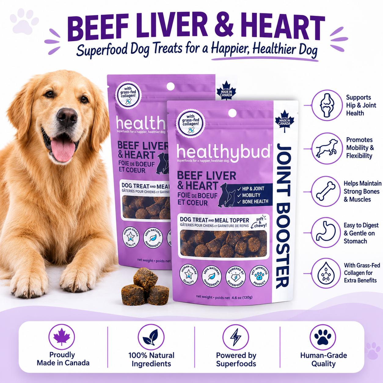 Healthybud Beef Liver & Heart Joint Booster dog treats shown in three purple bags with a golden retriever on the left and product benefits listed on the right, on a white background with purple accents.