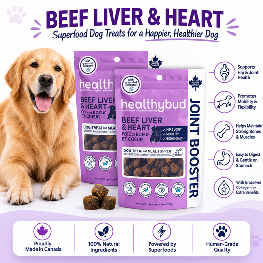 Healthybud Beef Liver & Heart Joint Booster dog treats shown in three purple bags with a golden retriever on the left and product benefits listed on the right, on a white background with purple accents.