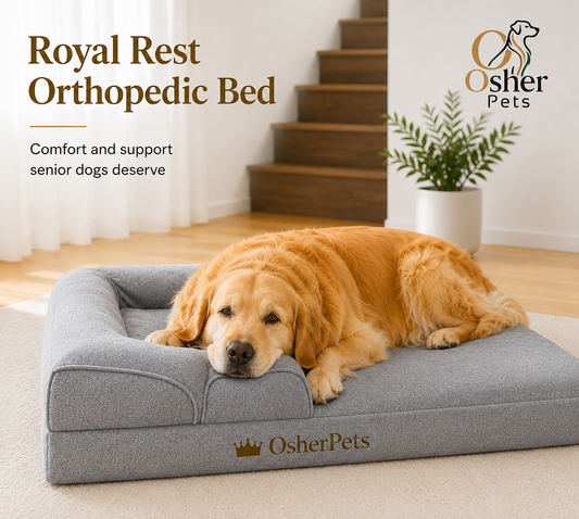 Royal Rest Orthopedic Dog Bed | Memory Foam Support for Large & Senior Dogs