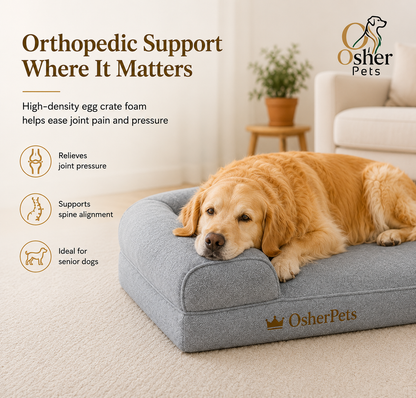 Royal Rest Orthopedic Dog Bed | Memory Foam Support for Large & Senior Dogs