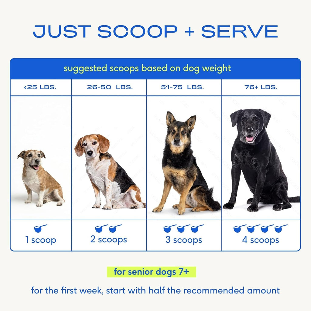 Royal Daily Senior Multivitamin Powder | 12-in-1 Joint Brain Immune Support for Senior Dogs
