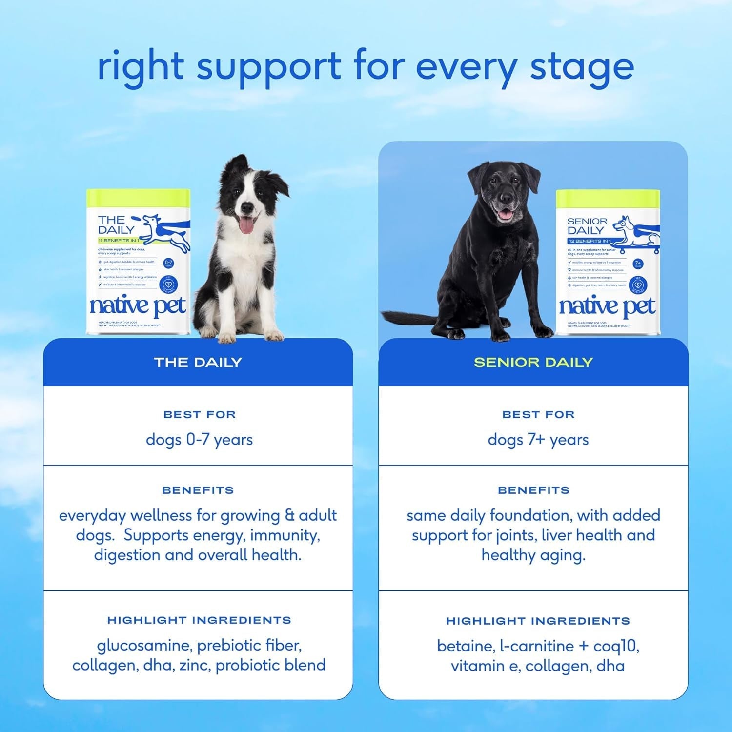 Royal Daily Senior Multivitamin Powder | 12-in-1 Joint Brain Immune Support for Senior Dogs