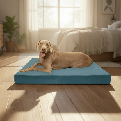 Dog lying on a blue FurHaven pet product with a cardboard box in the background.