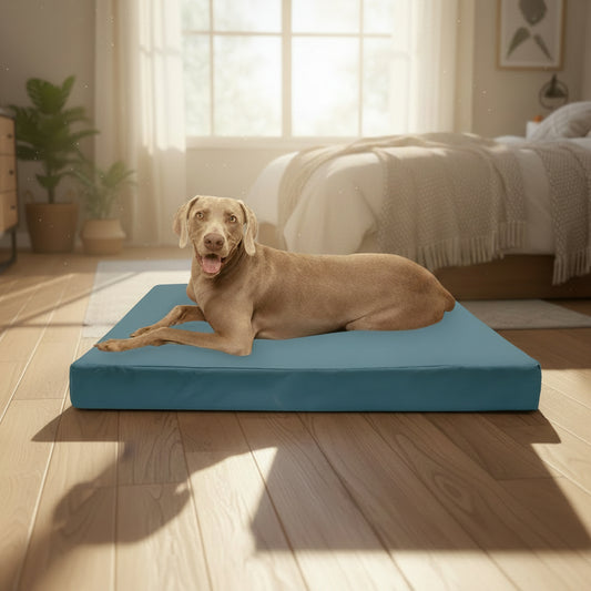 Dog lying on a blue FurHaven pet product with a cardboard box in the background.