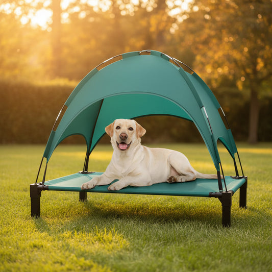 Dog lying on a green pet cot with canopy