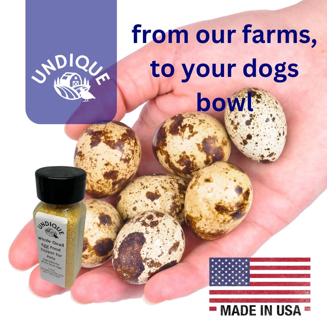 Royal Feast Food Topper | Quail Egg Boost for Senior Dog Meals