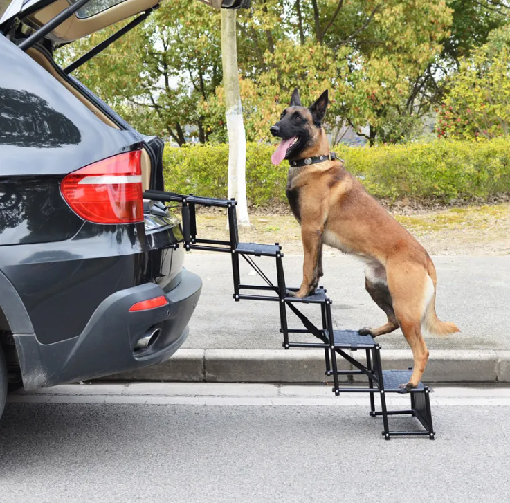 Dog using a set of folding steps to get into a car