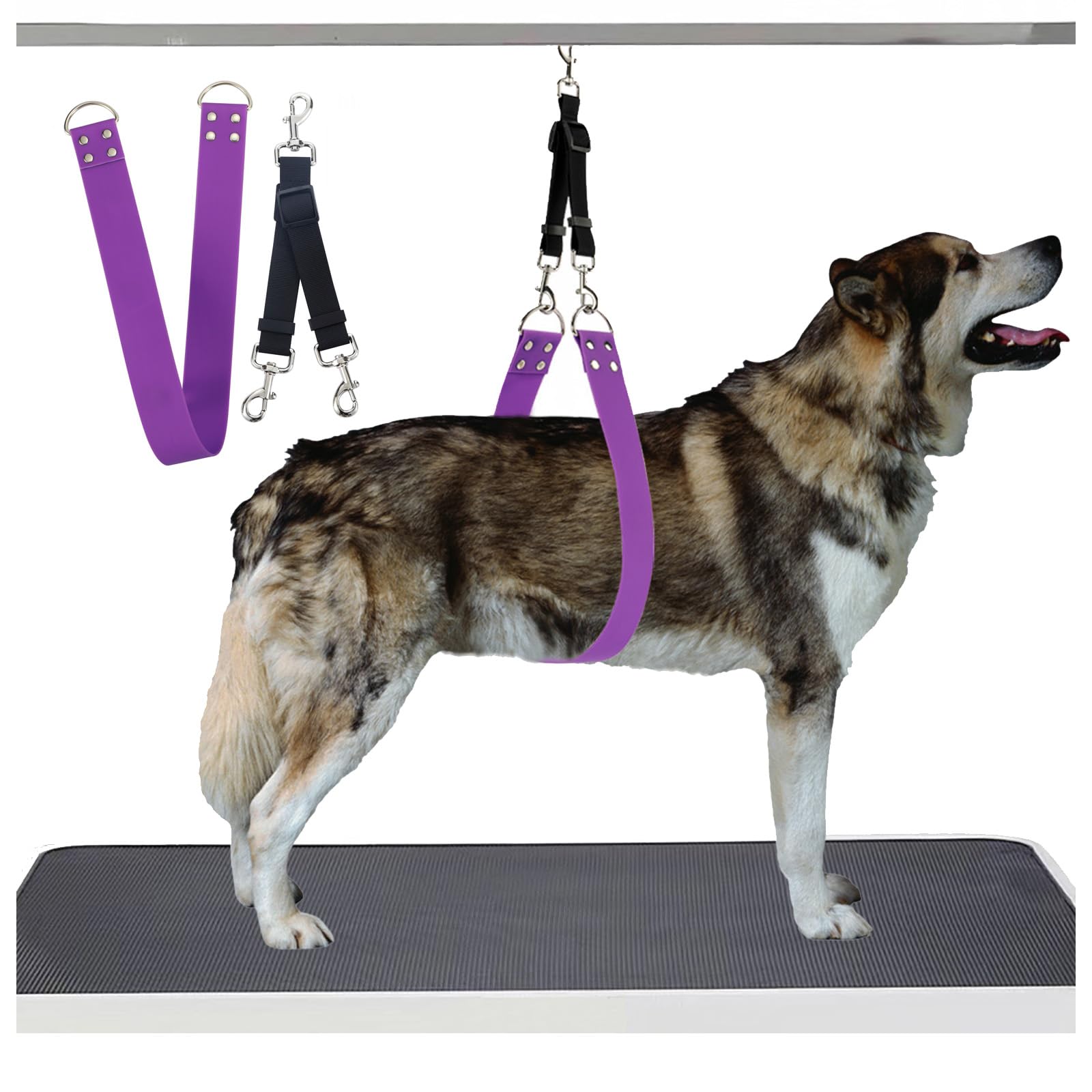 Royal Groom Belly Strap | Waterproof PVC Dog Grooming Support Band for Senior Dogs