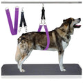 Royal Groom Belly Strap | Waterproof PVC Dog Grooming Support Band for Senior Dogs