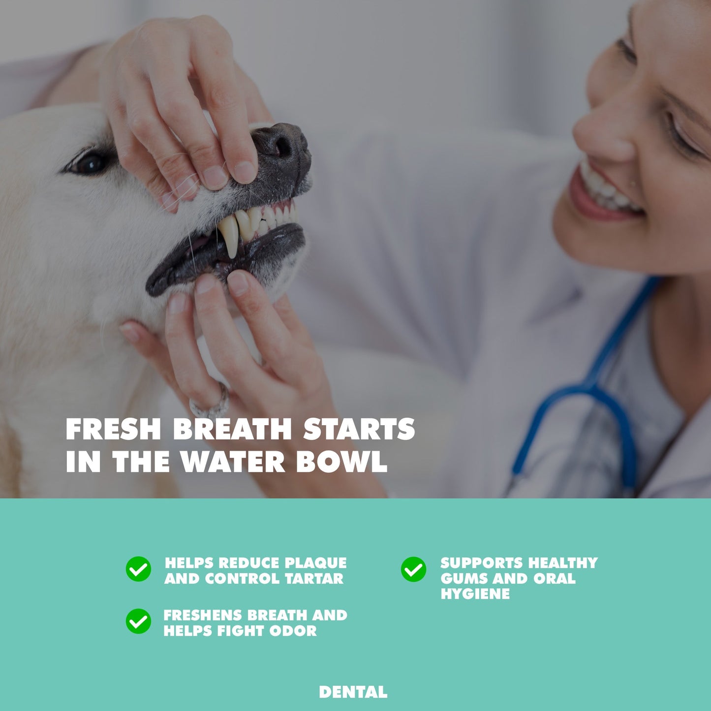 Royal Smile Water Additive | Odorless Dental Care Solution for Senior Dogs