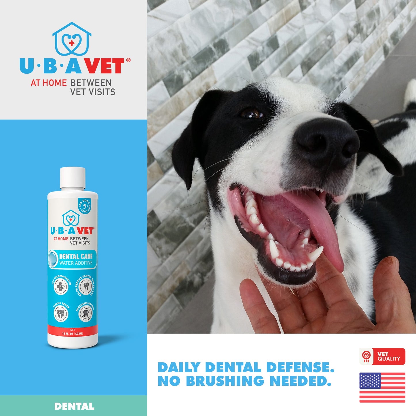 Royal Smile Water Additive | Odorless Dental Care Solution for Senior Dogs