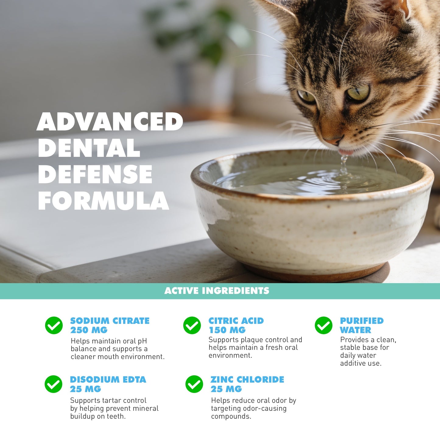 Royal Smile Water Additive | Odorless Dental Care Solution for Senior Dogs
