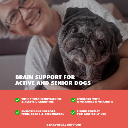 Royal Mind Senior Brain Support | Memory & Cognitive Health Supplement for Senior Dogs