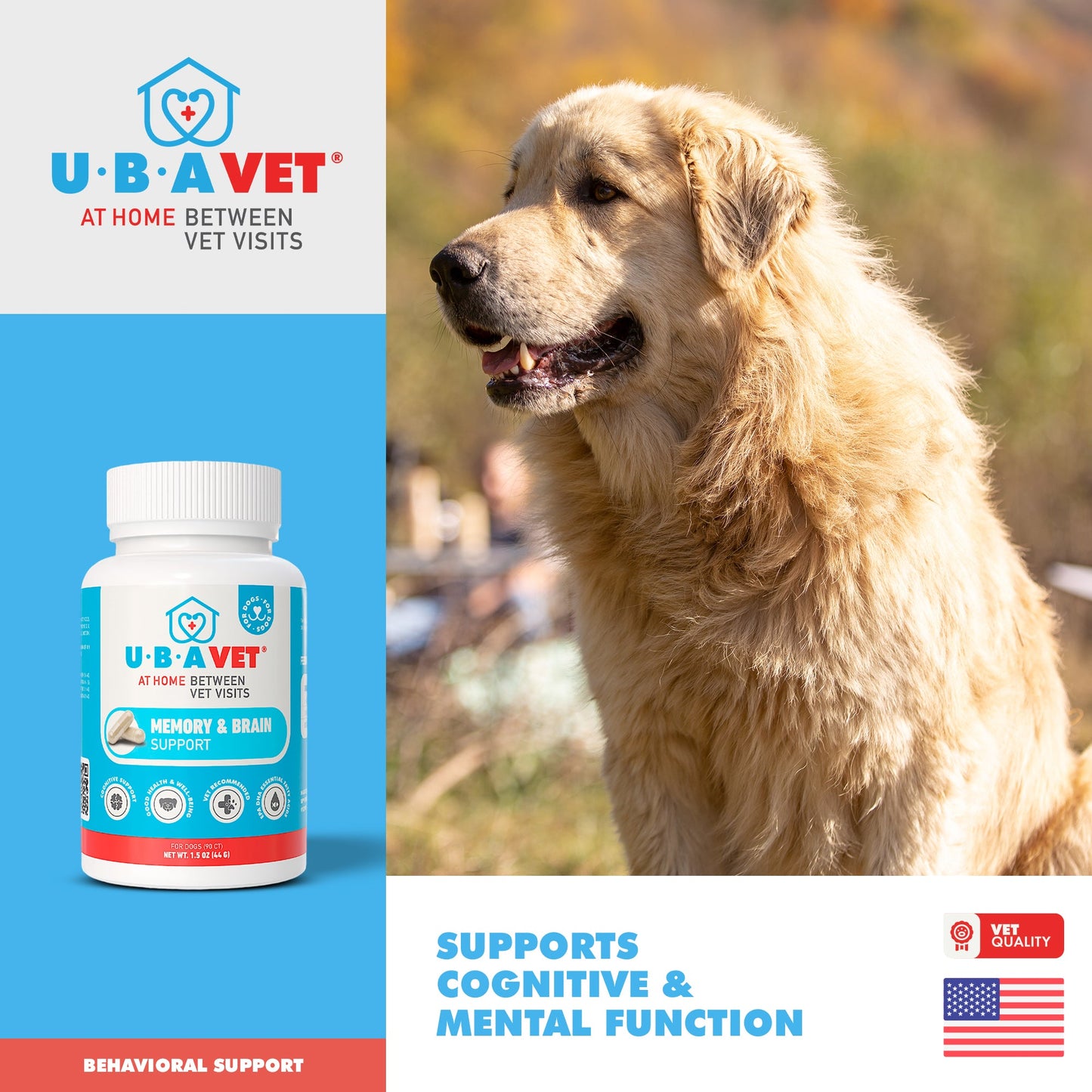 Royal Mind Senior Brain Support | Memory & Cognitive Health Supplement for Senior Dogs