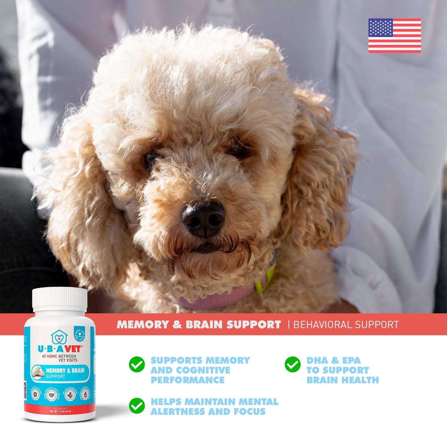 Royal Mind Senior Brain Support | Memory & Cognitive Health Supplement for Senior Dogs