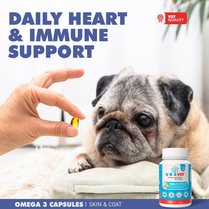 Royal Coat Omega-3 Capsules | 1000mg Skin Coat & Joint Support for Senior Dogs