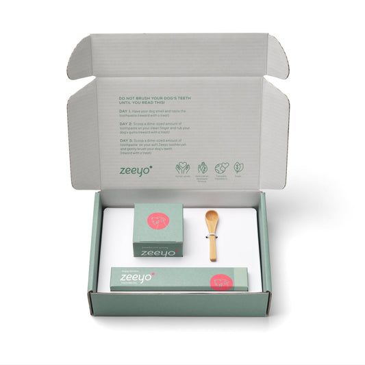 Royal Smile Complete Dental Kit | Premium Oral Care Set for Senior Dogs